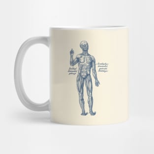 German Diagram Arm Muscular System - Vintage Anatomy Mug